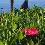 Appartamento Mit Blick Auf Wasser By Interhome *