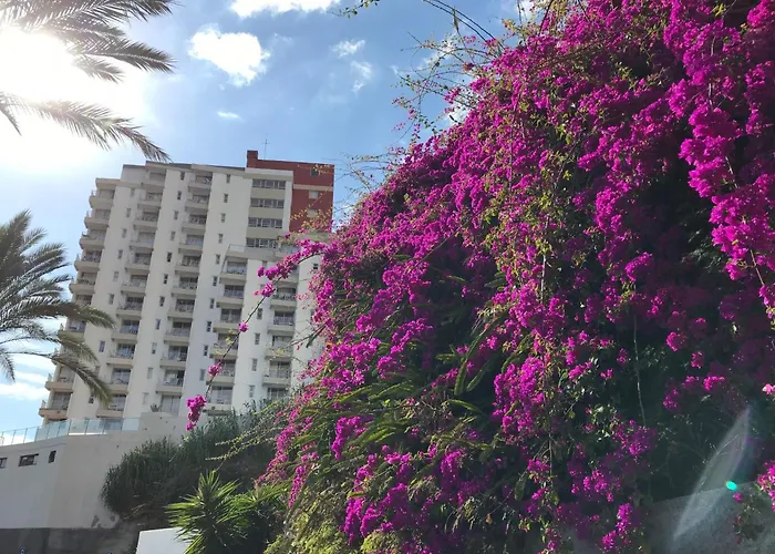 Apartmán Mit Blick Auf Wasser By Interhome Panasqueira (Madeira)